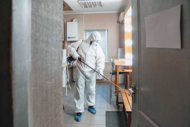 Lake Morton Berrydale, WA Mold Inspection, Removal & Remediation Company